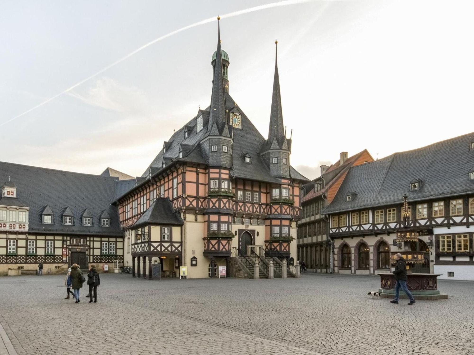 Cosy Holiday Home In Wernigerode With Large Terrace Hasserode エクステリア 写真