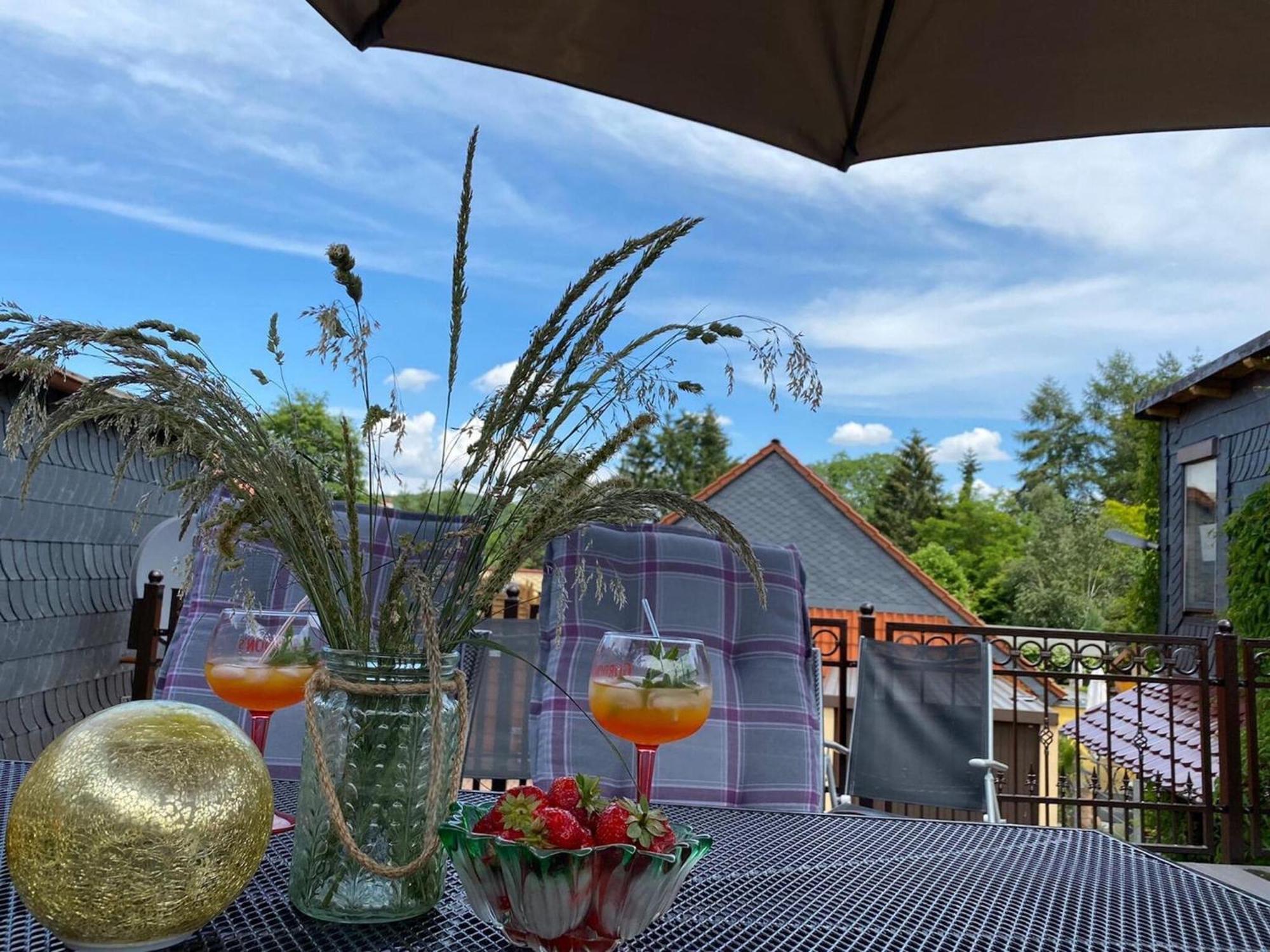 Cosy Holiday Home In Wernigerode With Large Terrace Hasserode エクステリア 写真